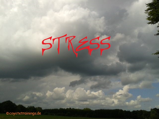 Stress tut gut ;-)