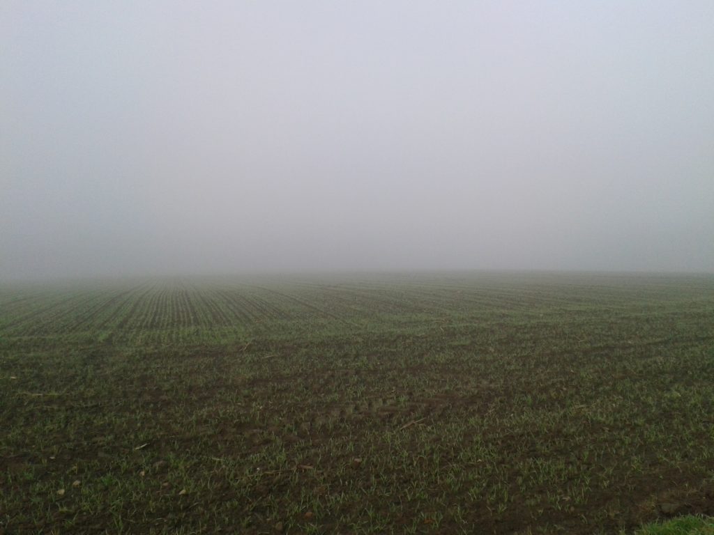 Herbstfeld