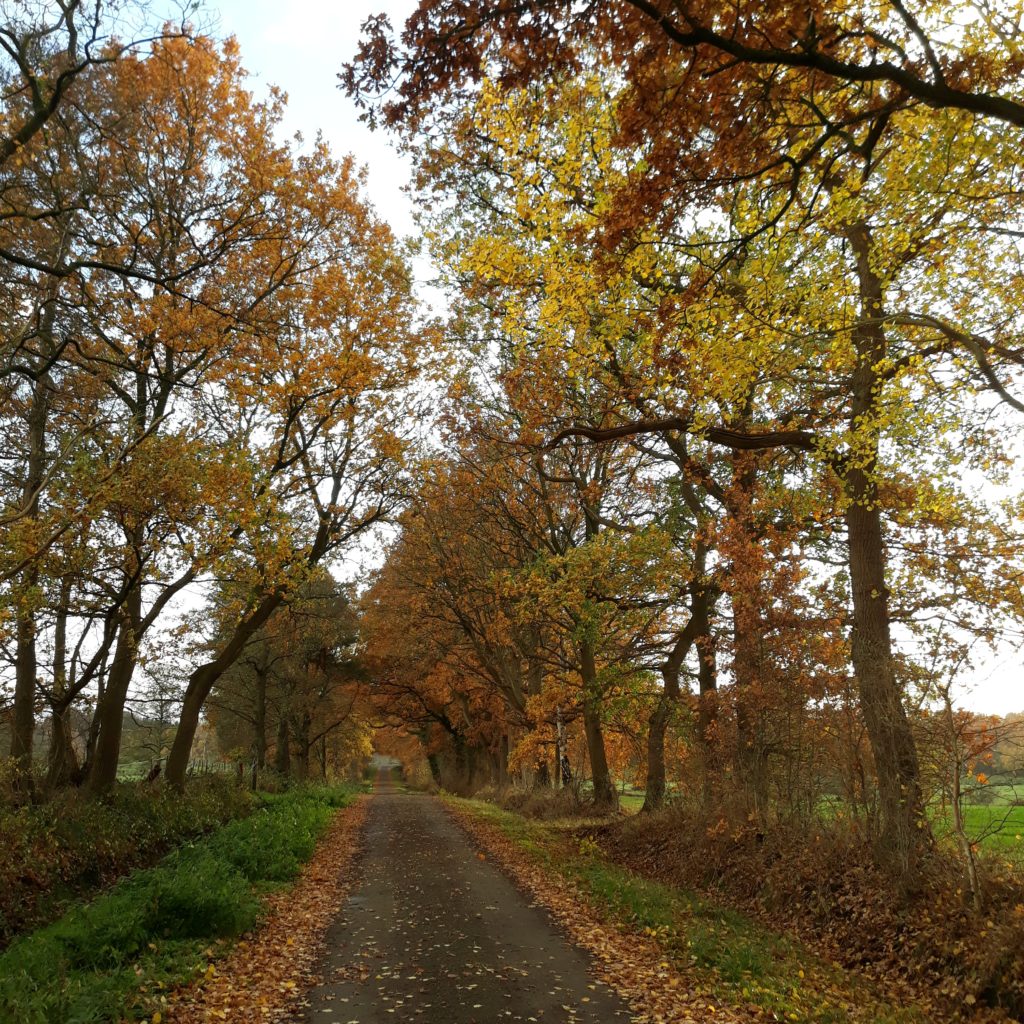 der Herbst ist da