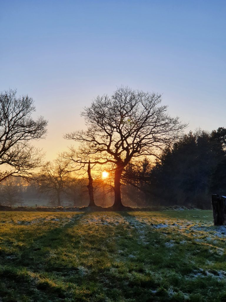 Wintersonnenuntergang